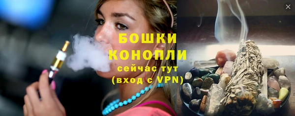сатива Вяземский