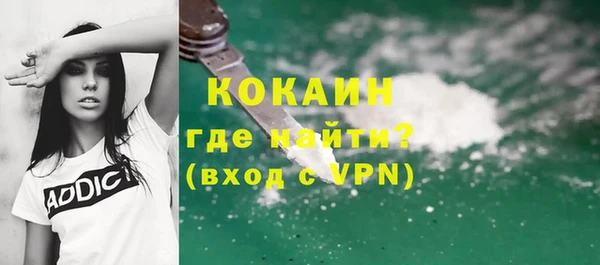 сатива Вяземский