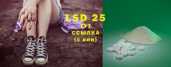 сатива Вяземский