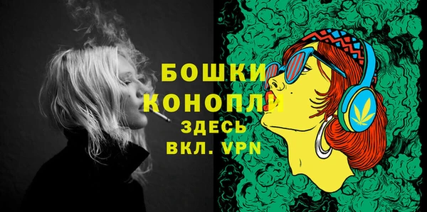 сатива Вяземский