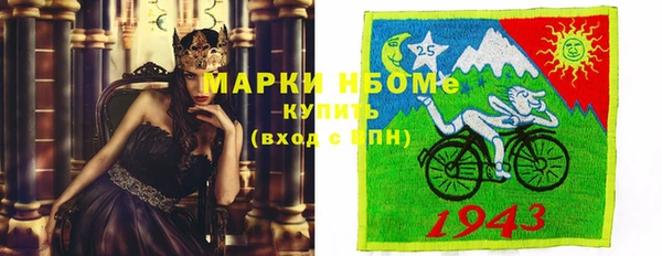 сатива Вяземский