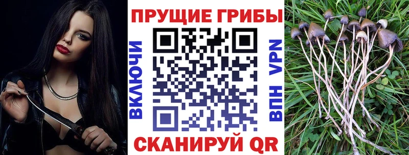 Псилоцибиновые грибы MAGIC MUSHROOMS Мостовской